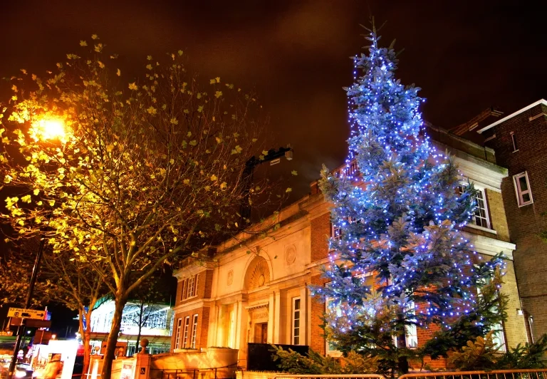 Christmas Tree Outside Civic Centre