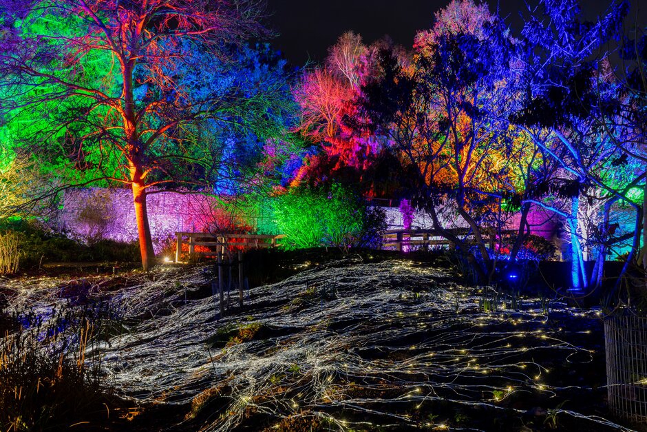 2025 Glow At Hyde Hall Web Use (3)