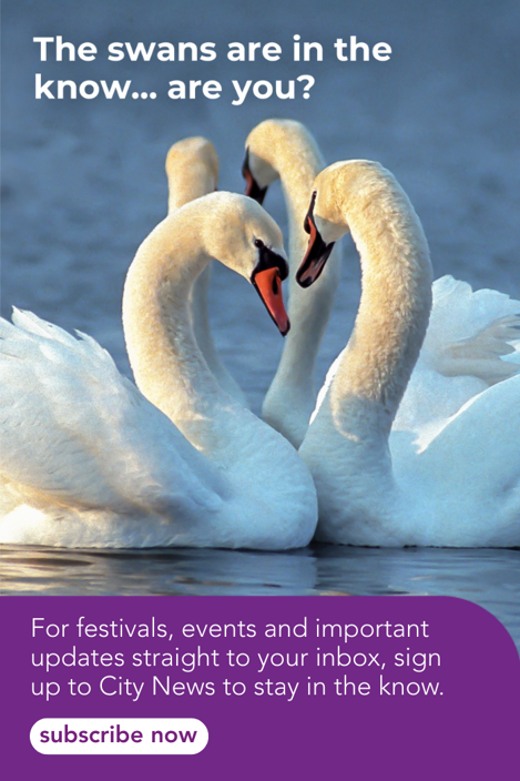 The swans are in the know...are you? For festivals events and important updates, sign up to City News to stay in the know. Subscribe now. (Four swans on the water in Central Park)
