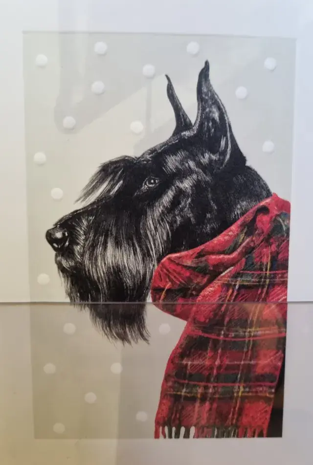 Black dog card