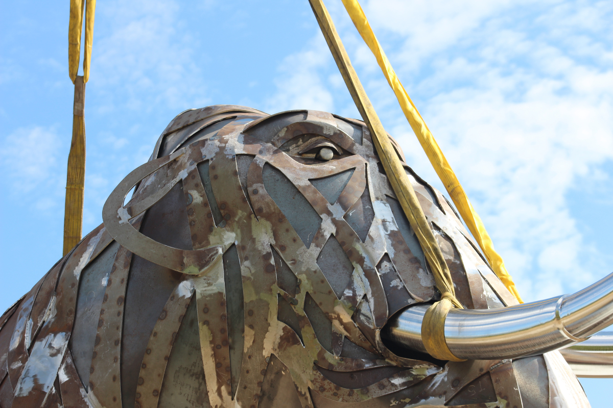 Mammoth Craned Into Position (4)