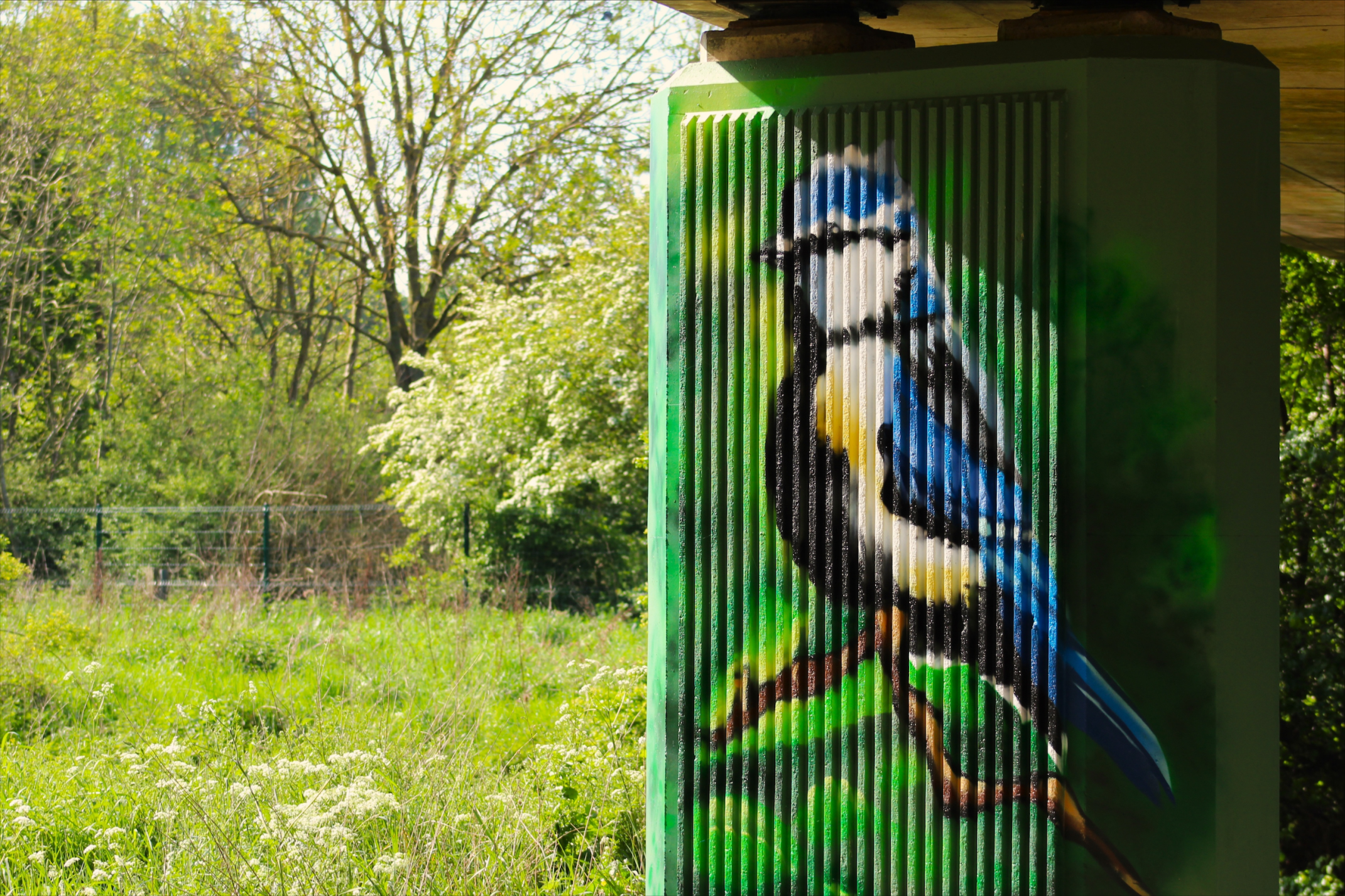 Mural Of A Bluetit At The Bunny Walks Underpass
