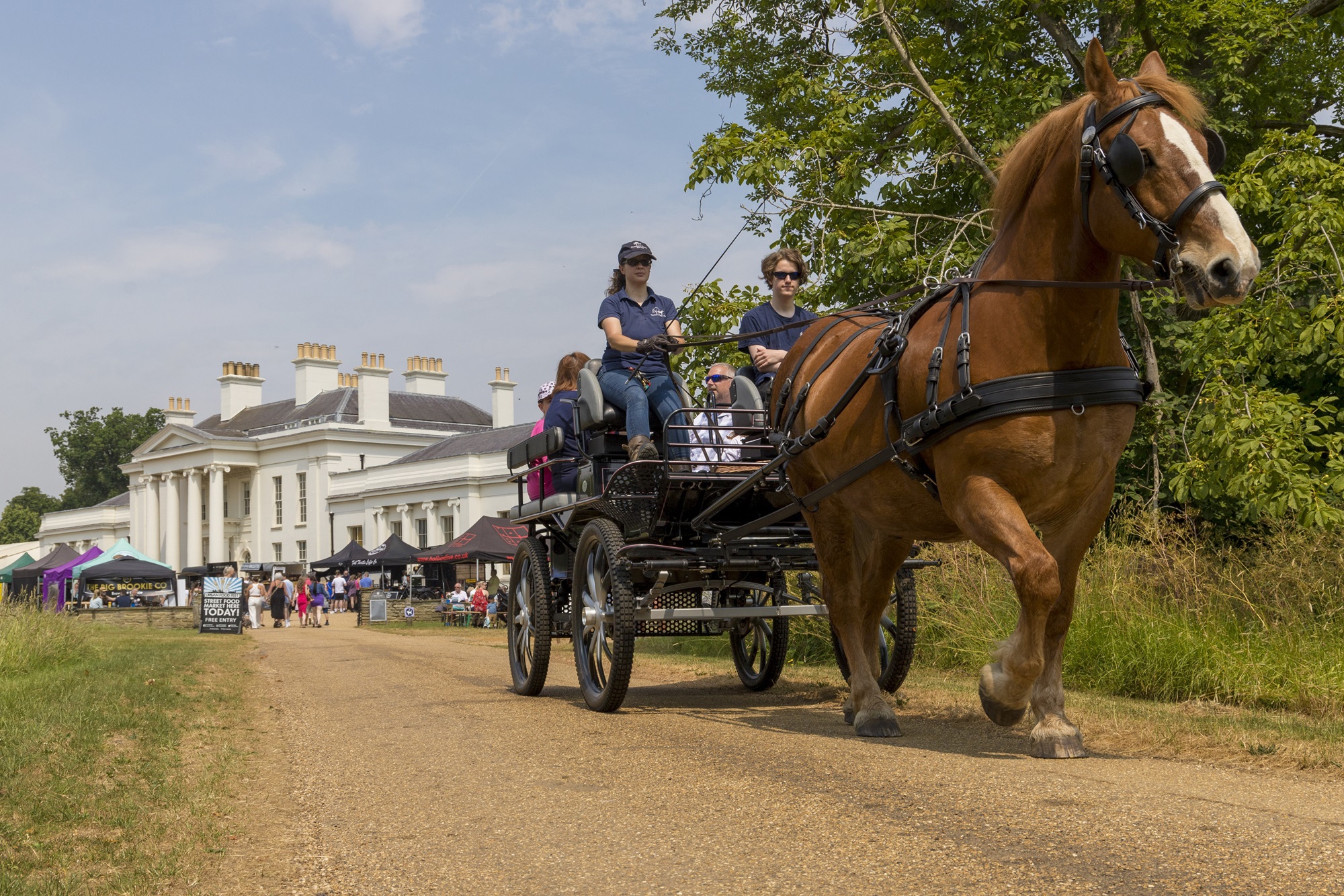 Hylands Open Estate Days. Photos Chris Cook (5)