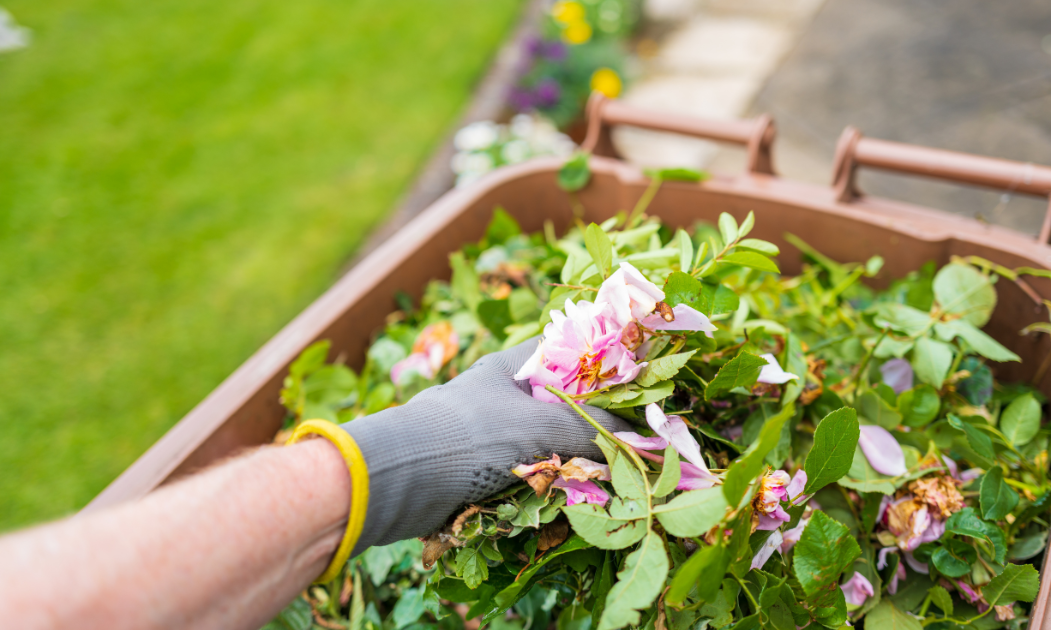 Prunings Being Put In A Garden Waste Bin