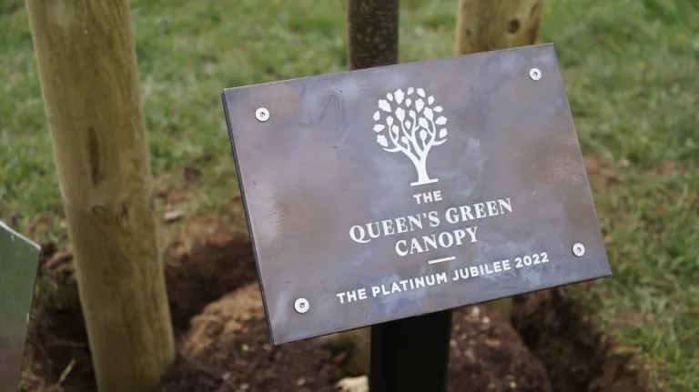 Queen's Green Canopy
