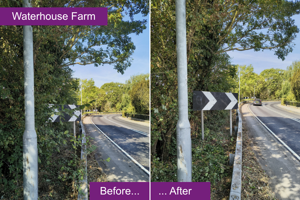 Street Care Rangers work_ Writtle Road.png