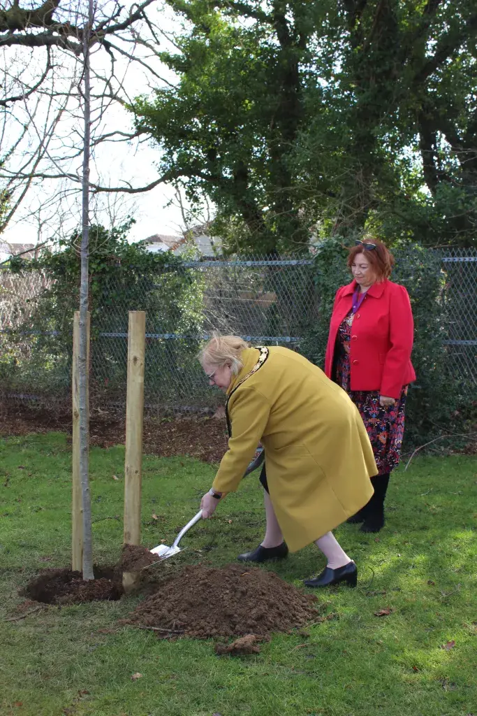 Mayor Deakin Plating A Tree