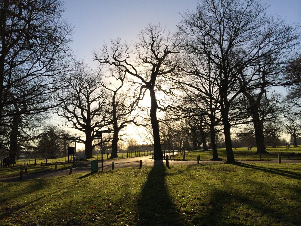 Admirals Park By Claire Naylor