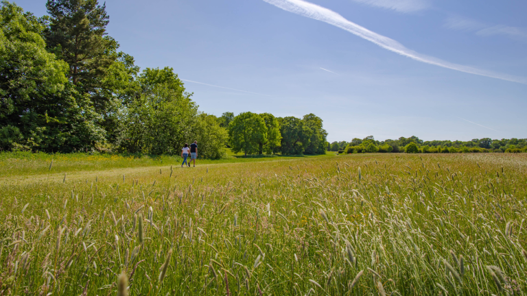 Walkers In Hylands Park