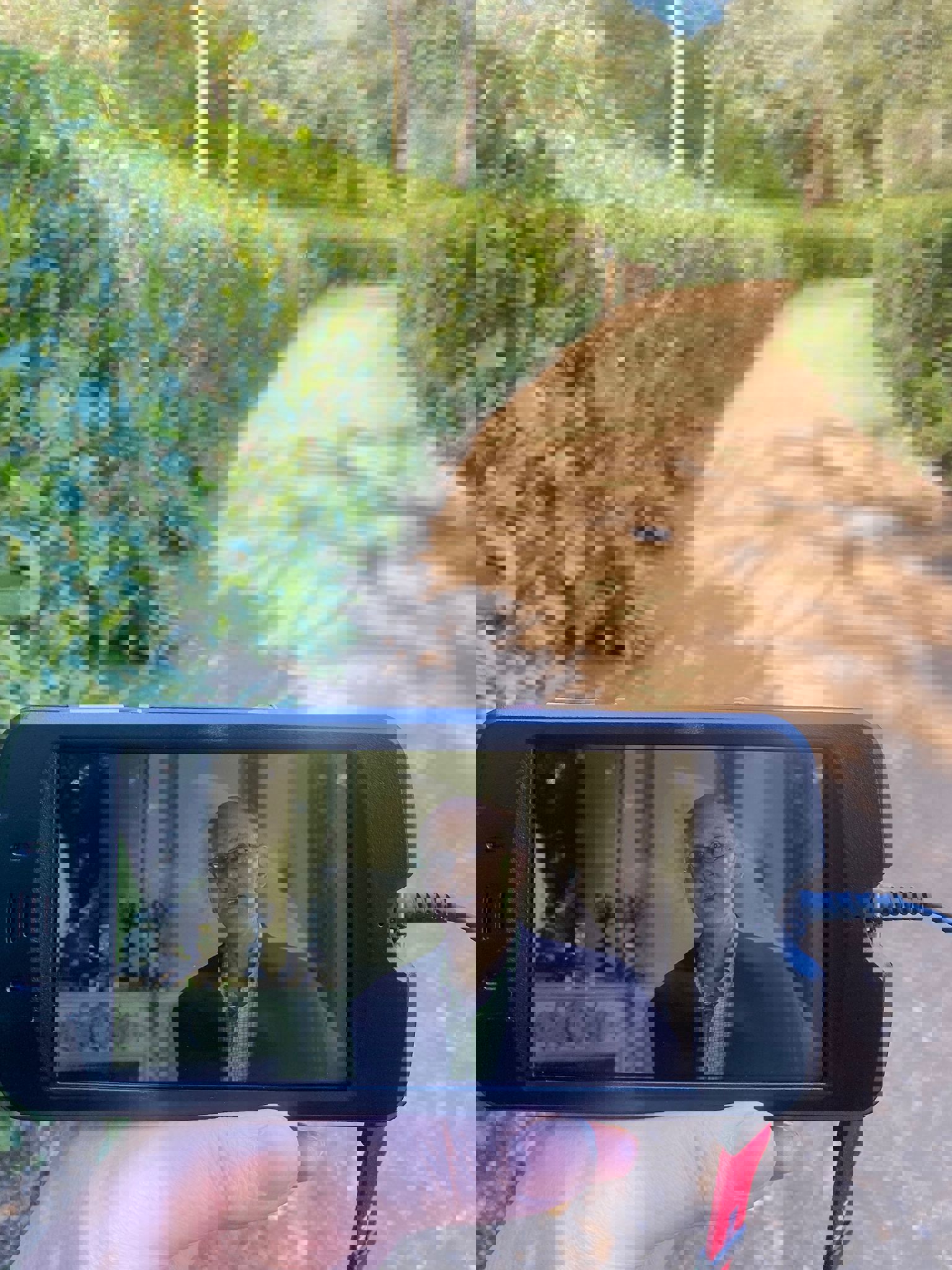 Nick Wickenden visible on the Hylands multimedia tour screen