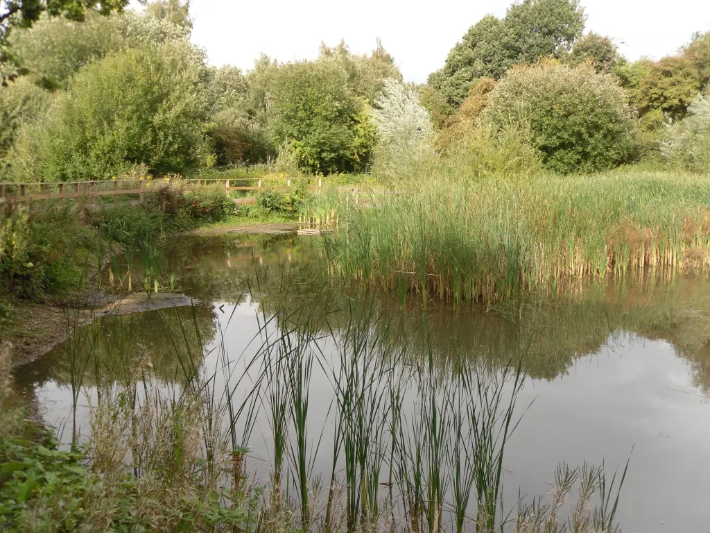 Marconi Ponds Local Nature Reserve