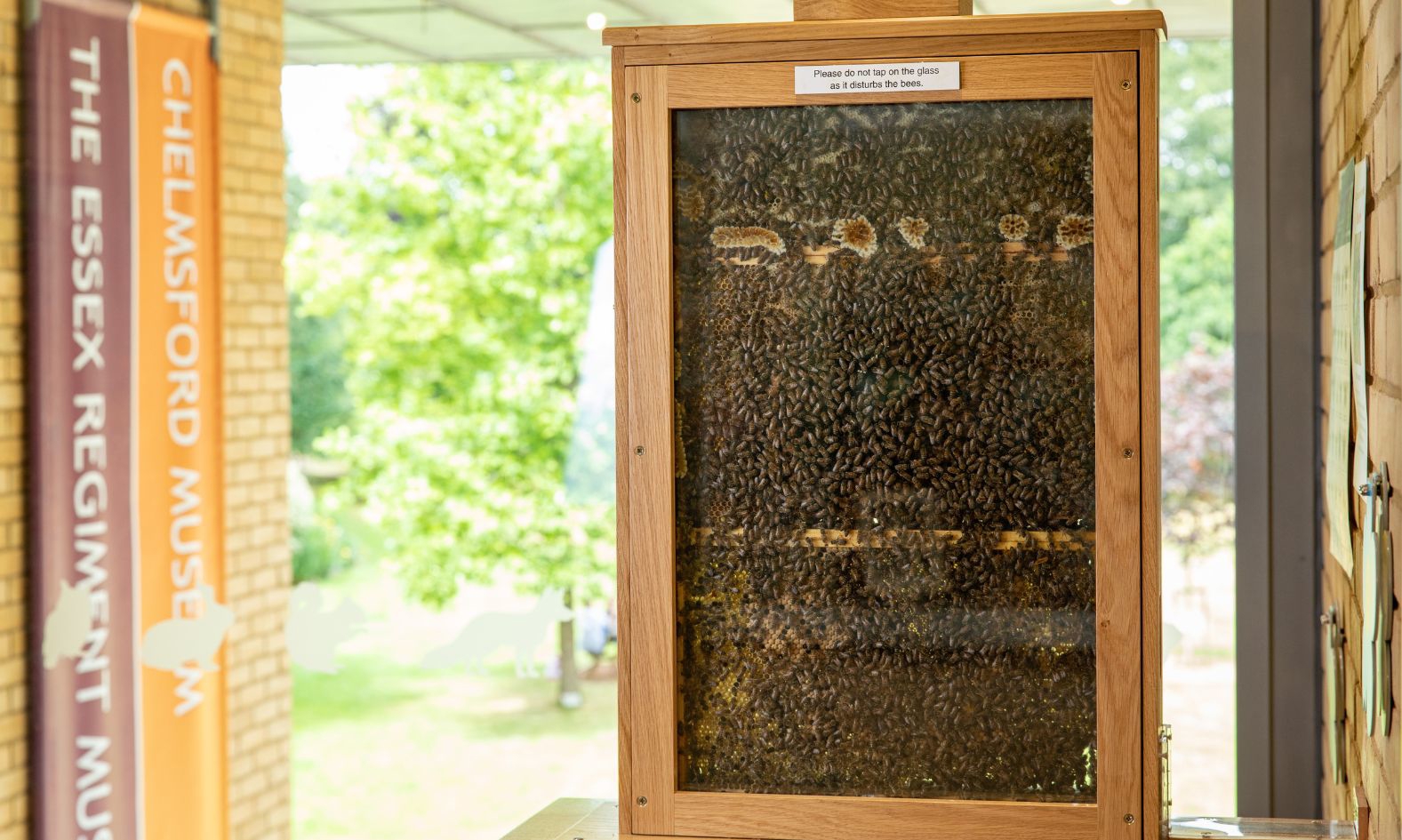 Chelmsford Museum 2019 (4)