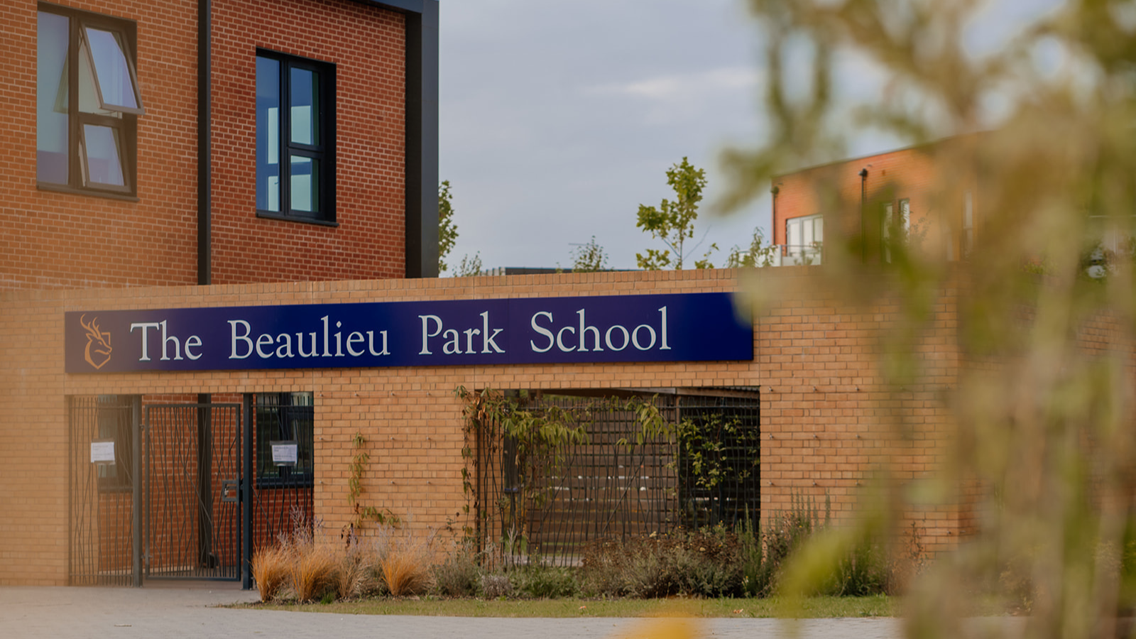 Untitled Design (21)