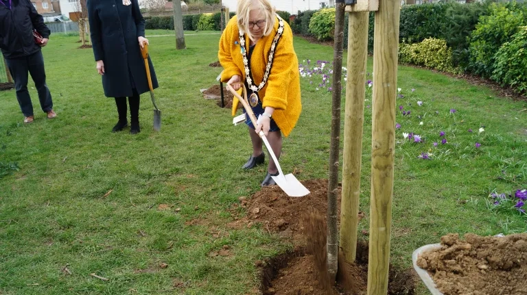 Mayor Deakin Planting A Lime Tree