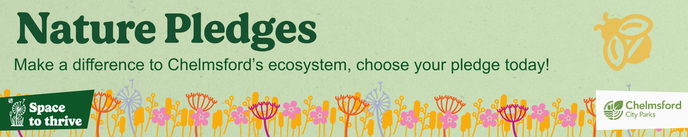 Pledge City Life Banner