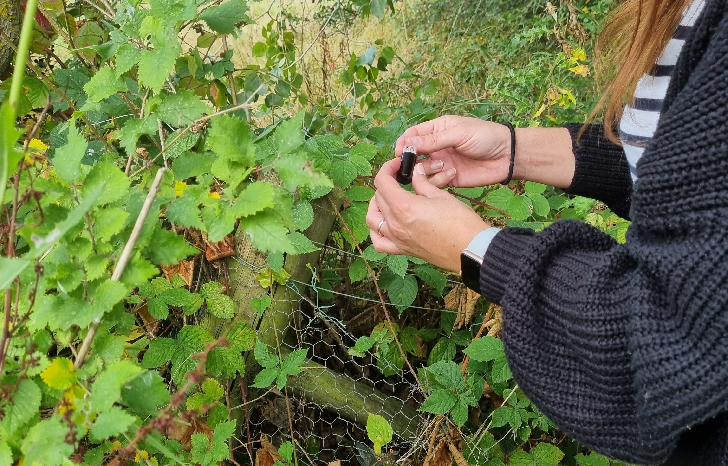 Geocaching at Hylands Estate