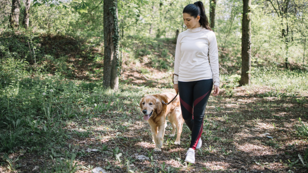 Woman walking a dog amongst trees