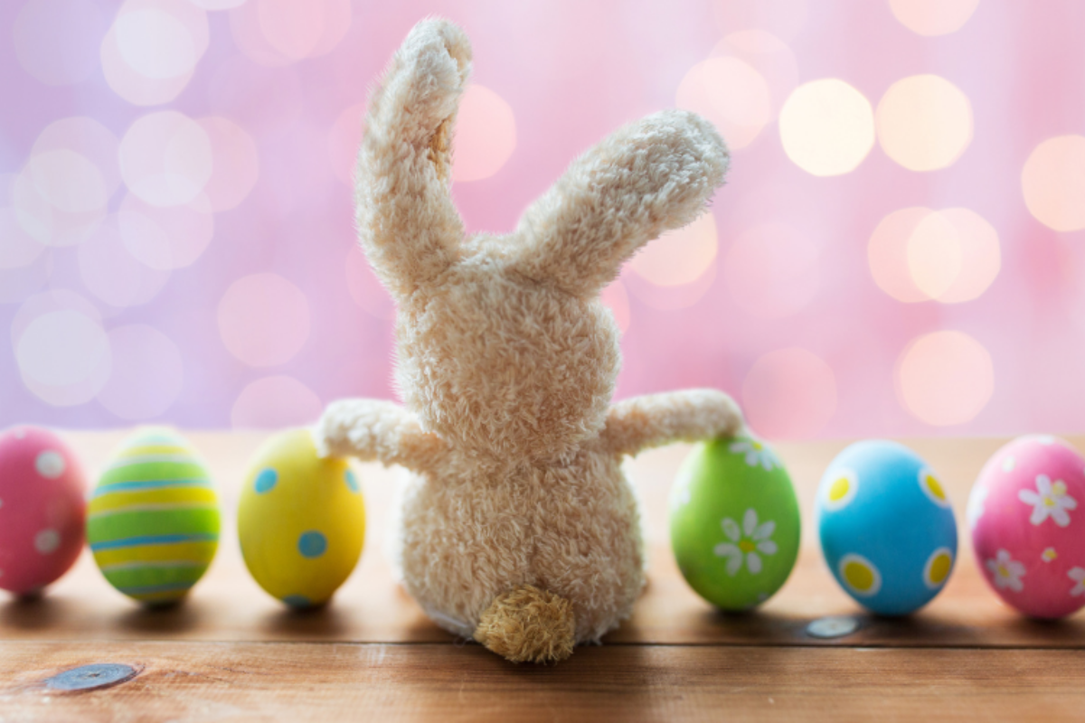 Easter family fun around Chelmsford | City Life - Chelmsford City Life 