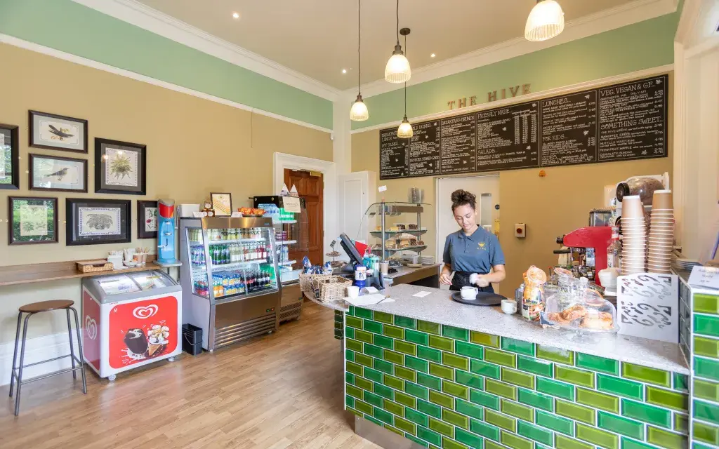 Hive Cafe