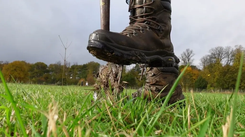 Treeplanting Stock Image - foot on spade