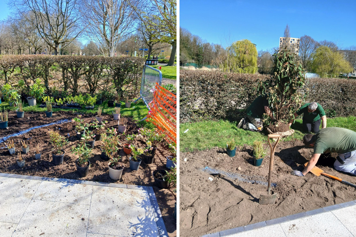 The Area During Works Plants Are Placed And Bedded