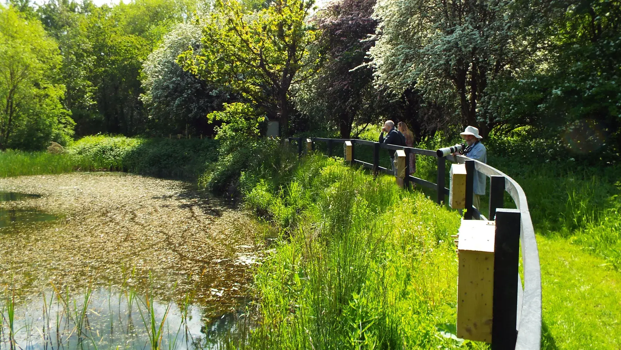 Marconi Ponds (Pond)