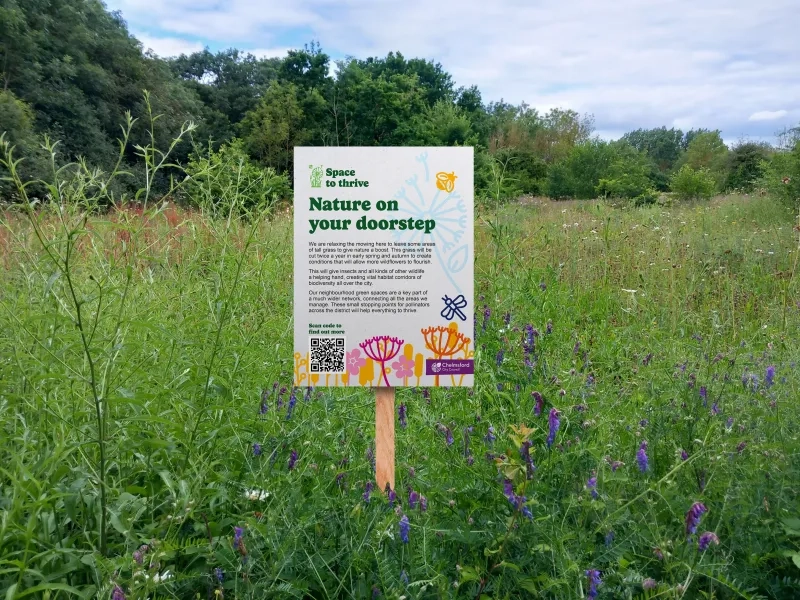 Space To Thrive Sign Artist Impression