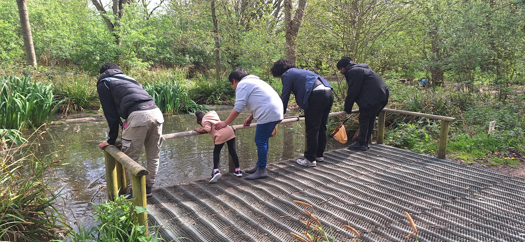 012 Pond Dipping (Contains Alexis)