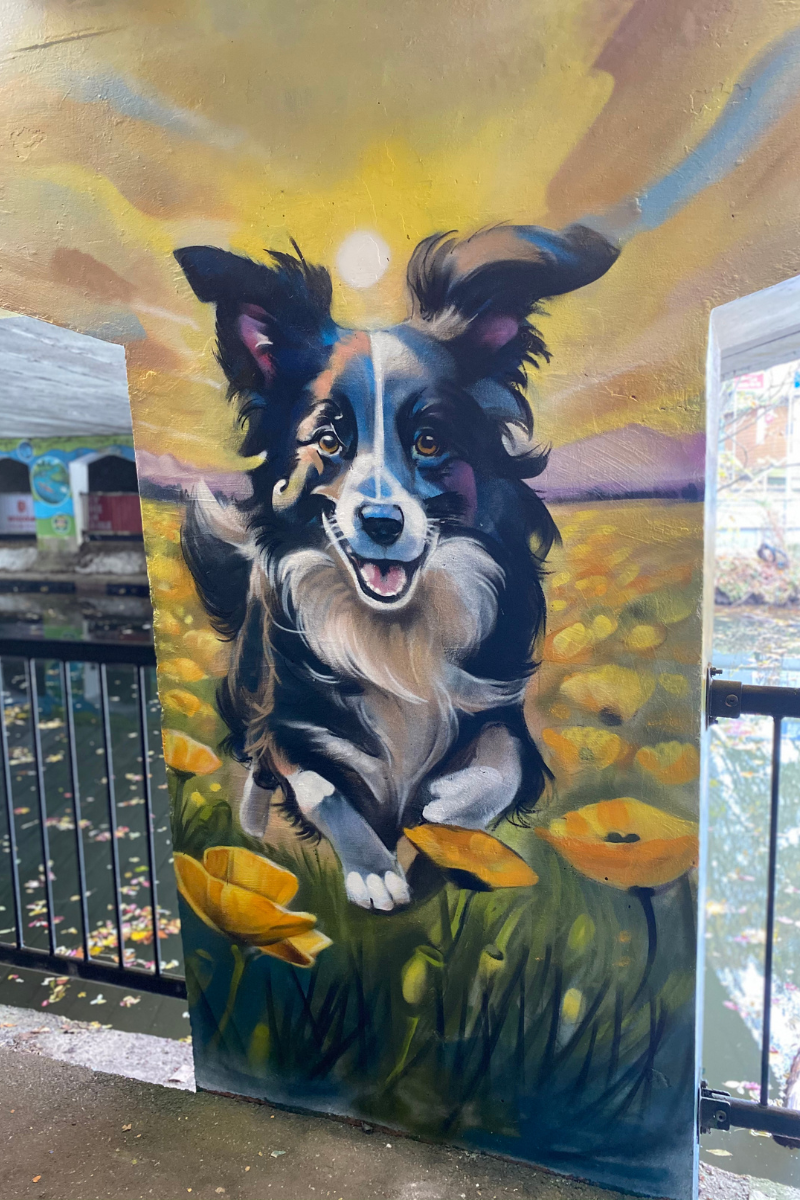Mural Of A Dog Painted By Local Street Artists At Bell Meadow Underpass