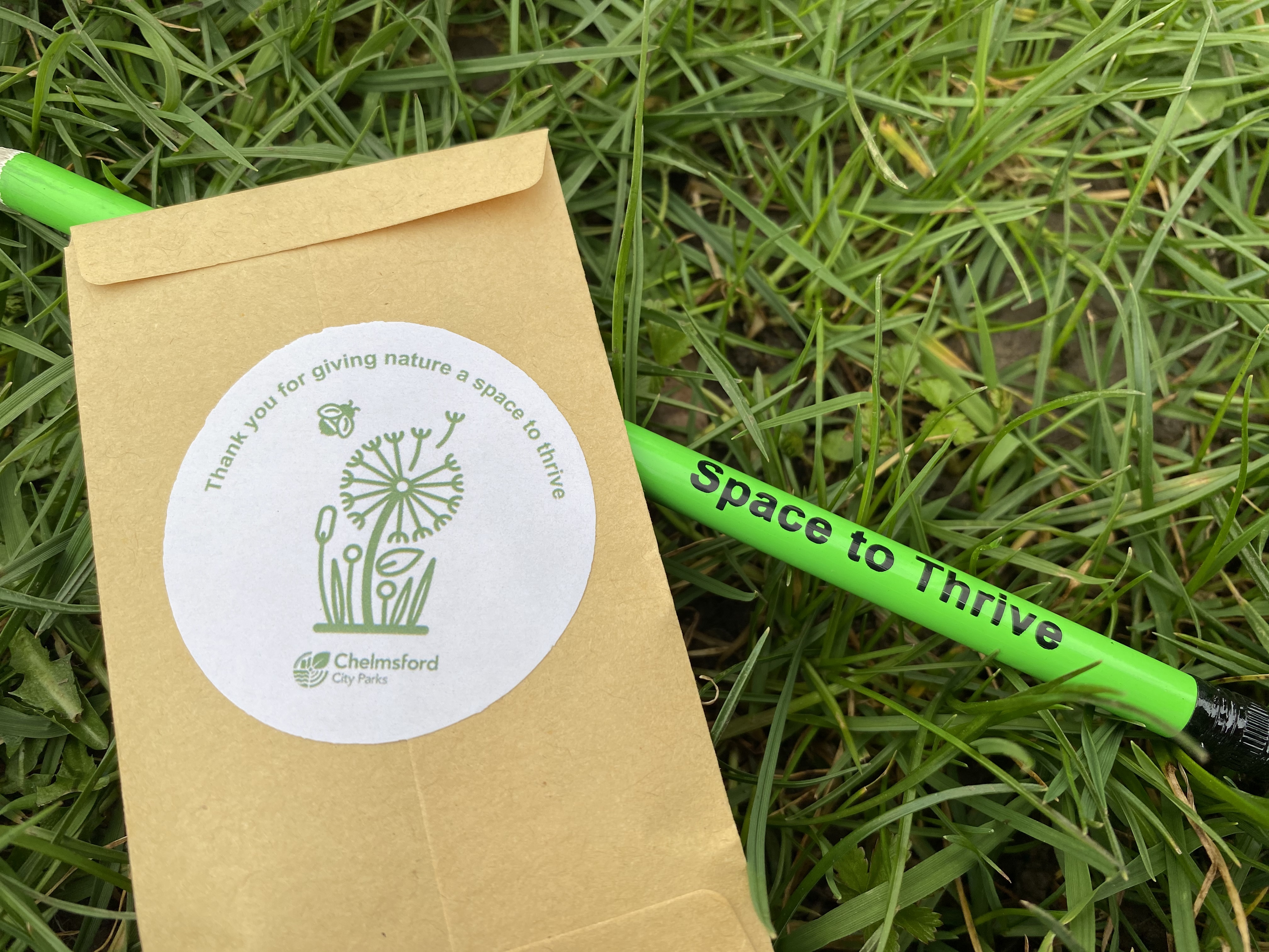Close up of seed packet and space to thrive pencil