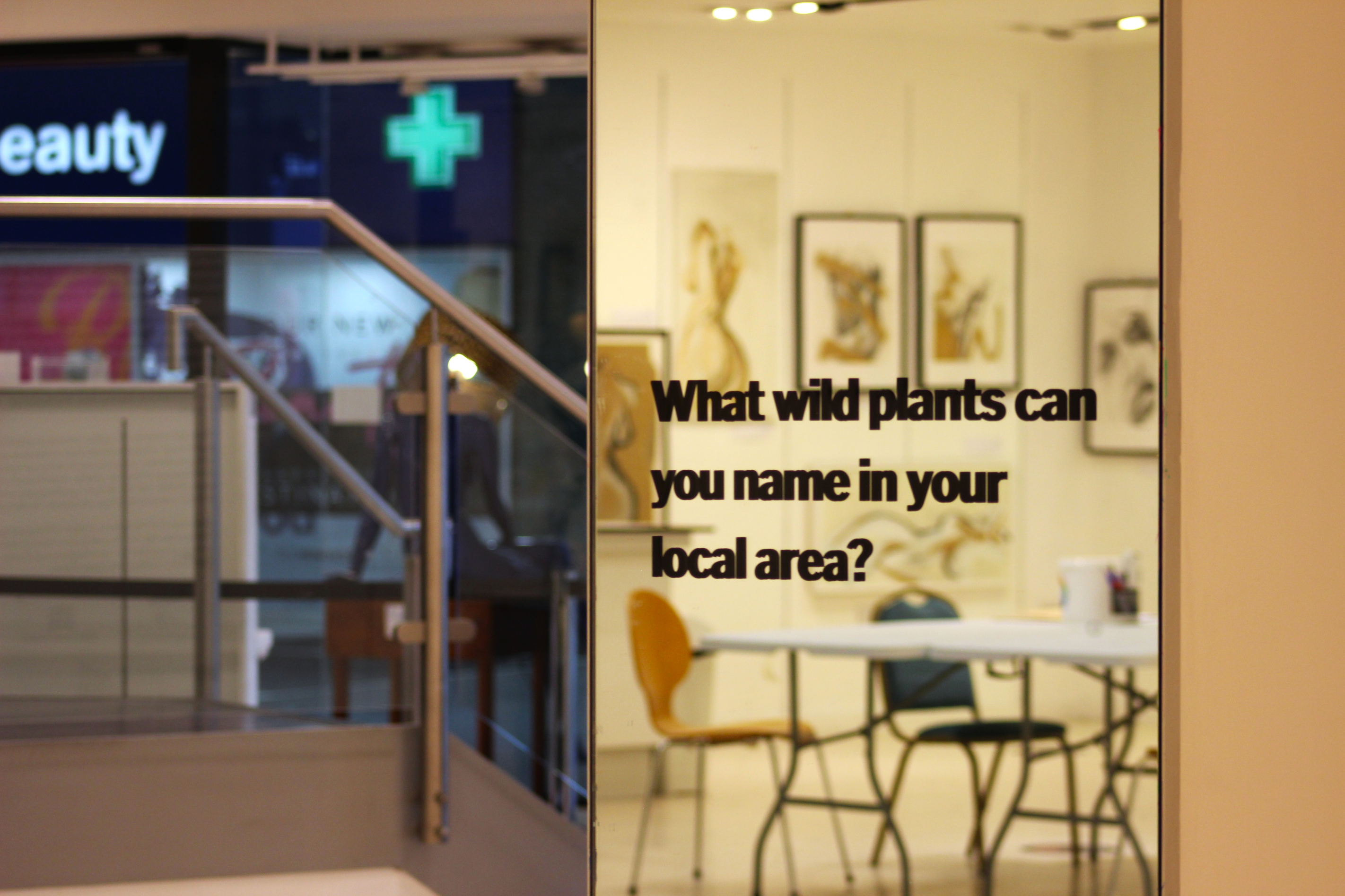 Homeland Is Presence Exhibition Wild Plants