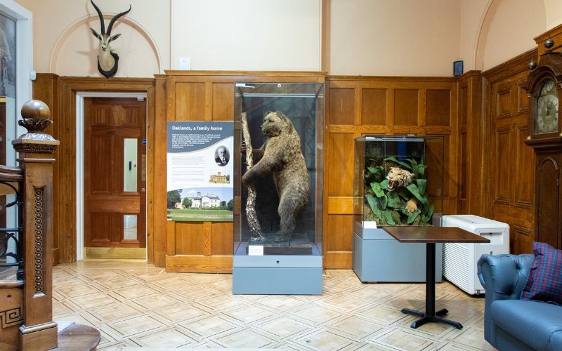 Boris the Bear in the Victorian Hall.jpg