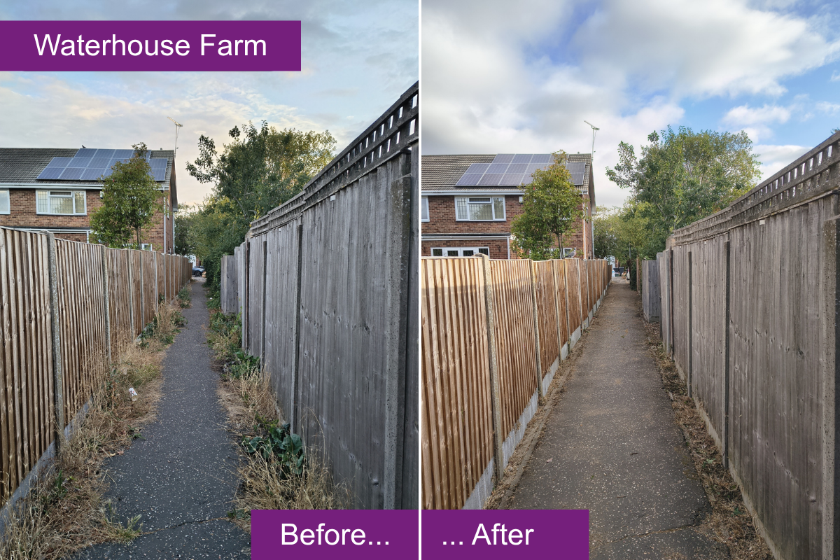 Street Care Rangers work_ Waterhouse Street.png