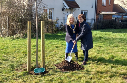 Mayor planting a tree