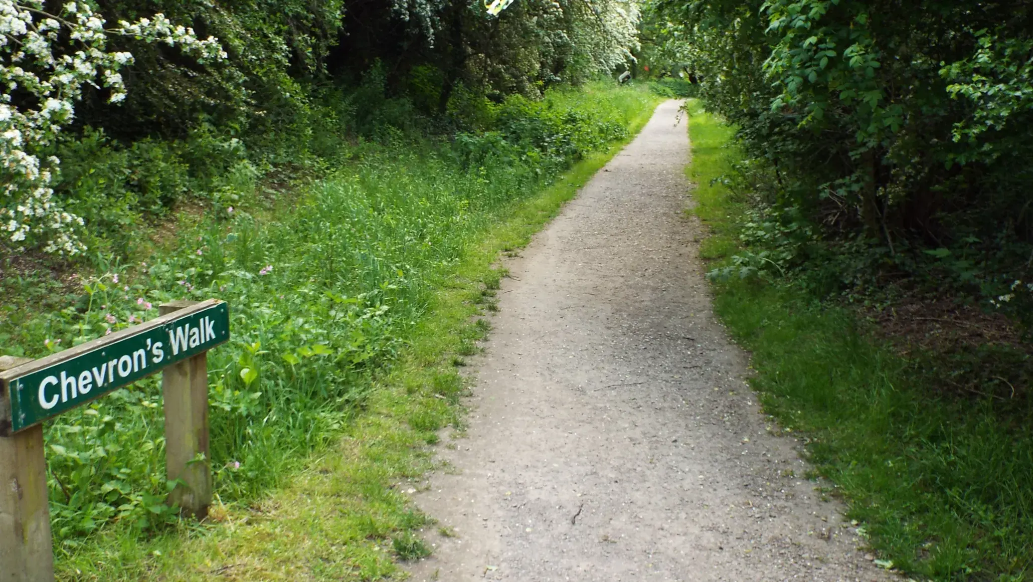 Marconiponds (Chevron's Walk)