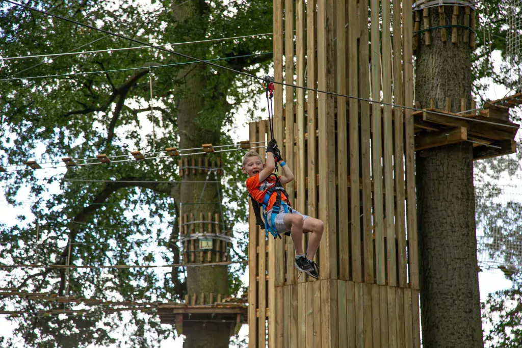 Go Ape Chelmsford (3)