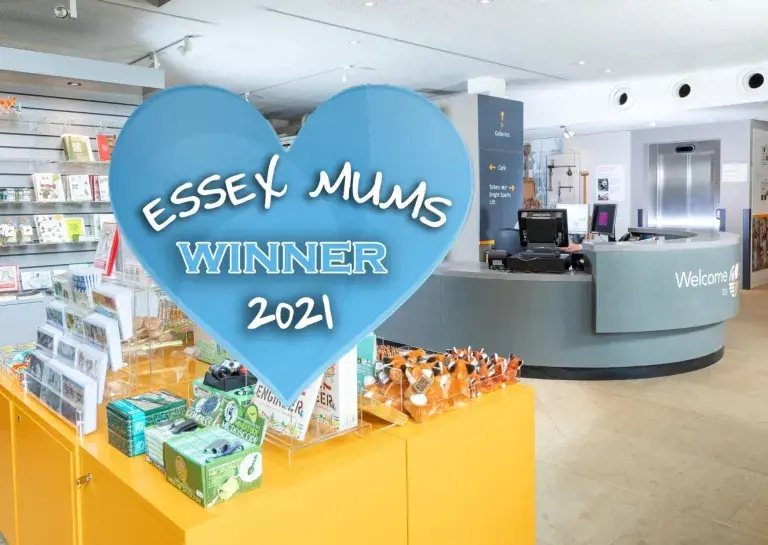 Essex Mums Award 2021