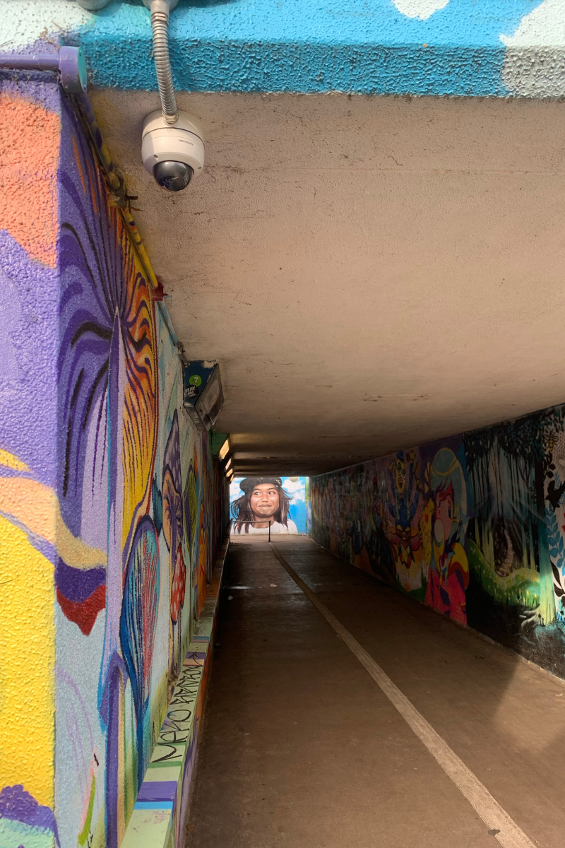 Central Park Underpass CCTV