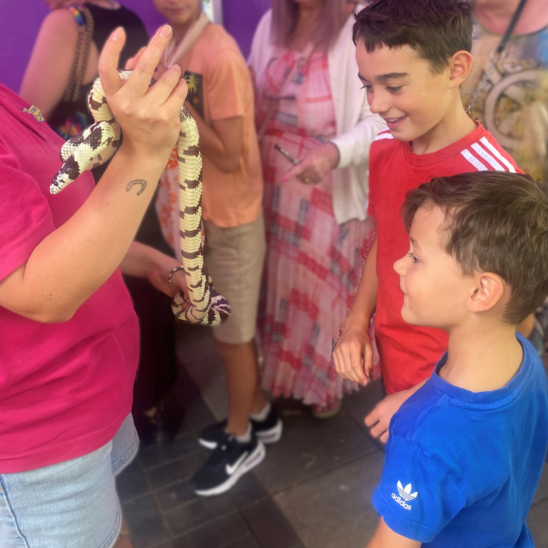 Animal Workshops At The Market Family Fun Day 2024