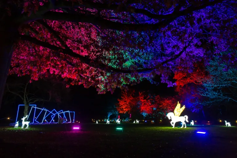 Enlightened Moments. Photographer Aaron Crowe 10