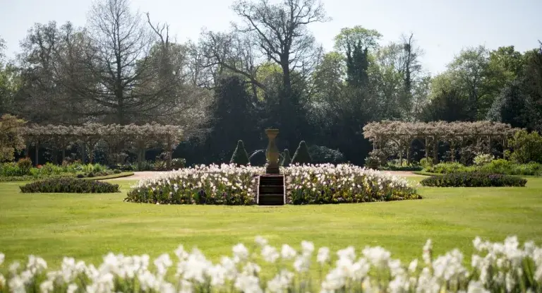 Formal gardens with circular flower beds blooming with white flowers