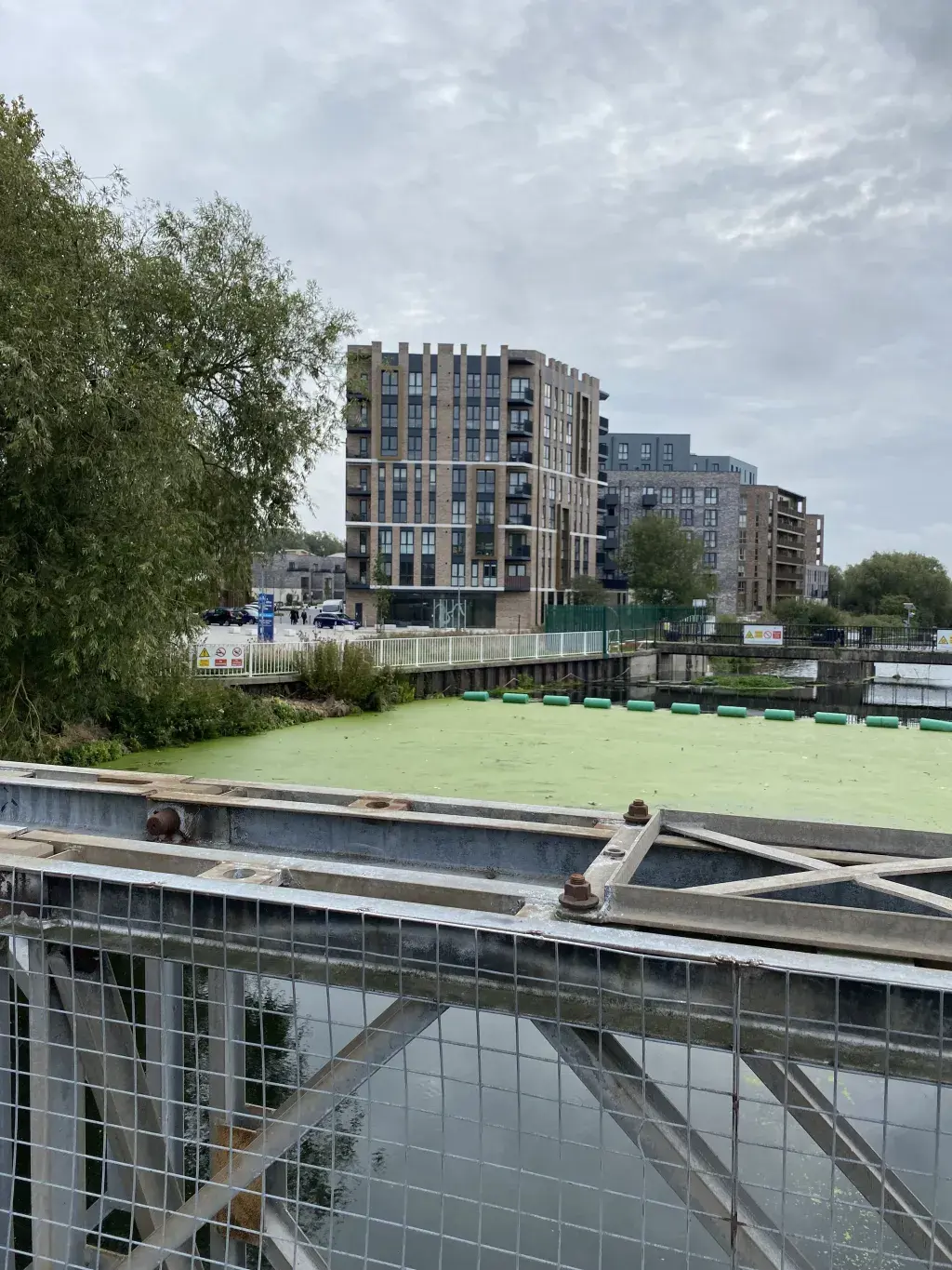 View from Bailey Bridge to Taylor Wimpey Chelmer Waterside homes
