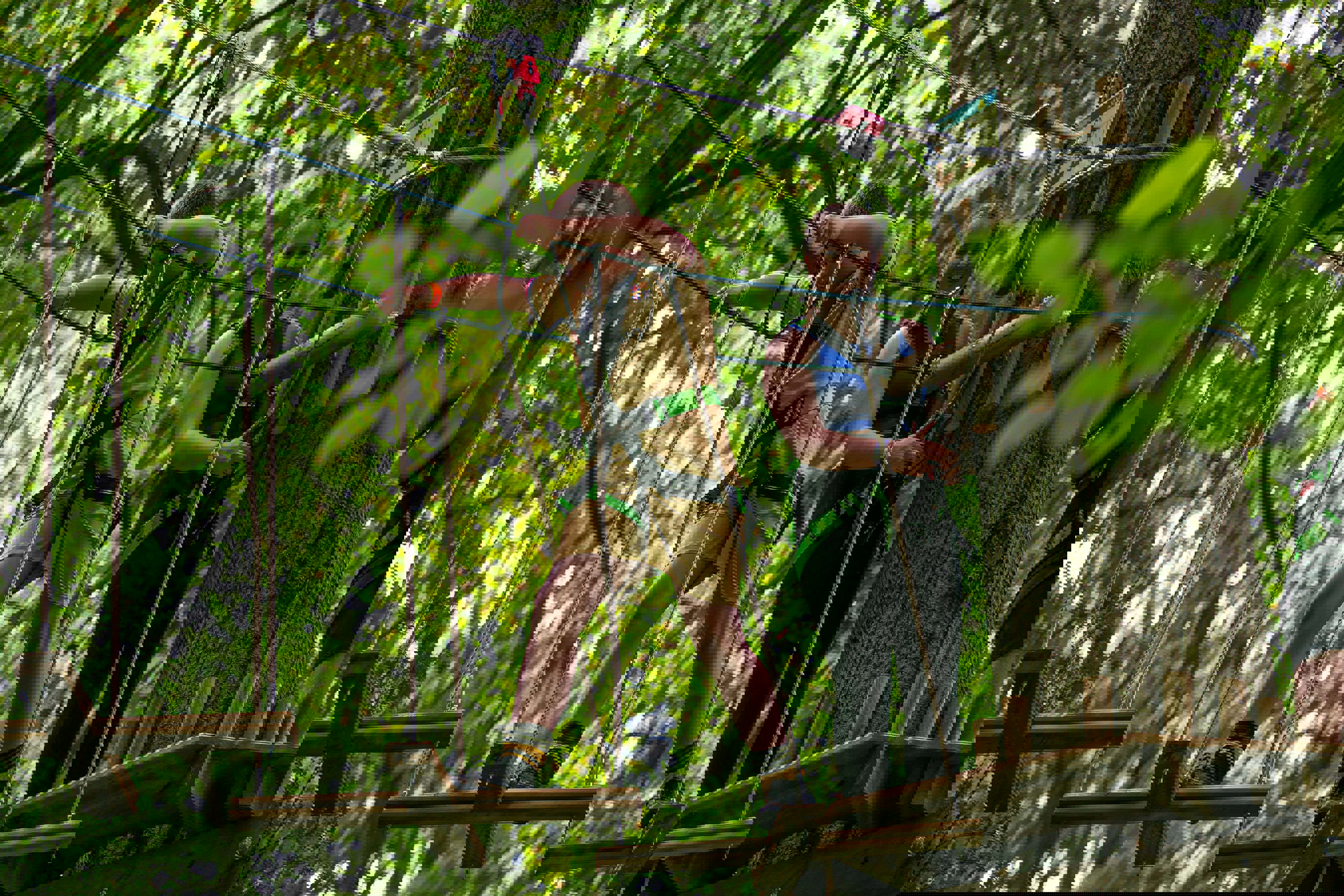 Go Ape Chelmsford (8)