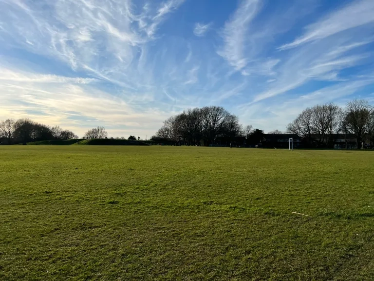 Open Field In Chelmsford